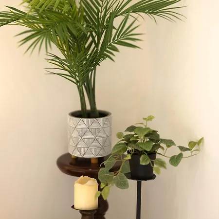 Cosy And Modern 2 Bedroom Sbor1-1 公寓 *